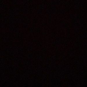 Meet your Posher, Paige